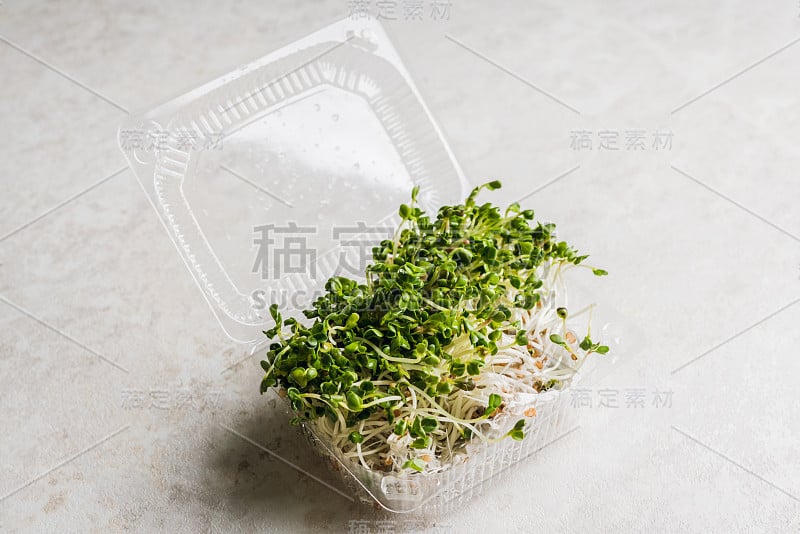 Microgreen。塑料容器内的萝卜芽