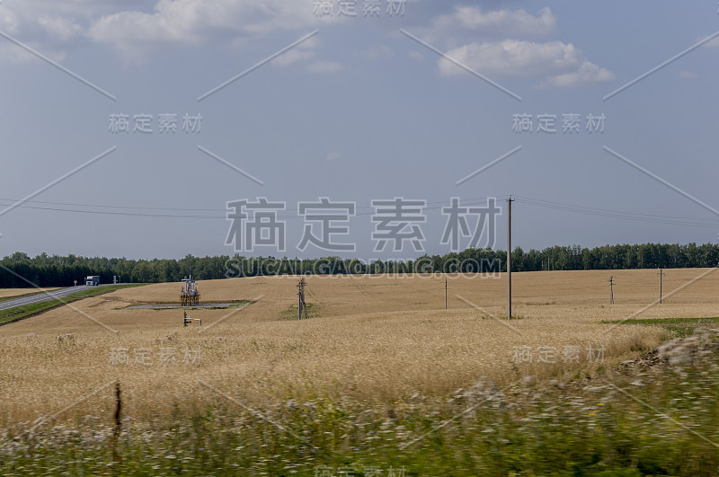 黄色的田野，远处的群山，深蓝和灰色的天空。种植面积。农业。清晨