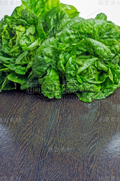 新鲜的生菜叶子