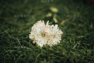 奢华的结婚戒指，旁边有时尚的装饰