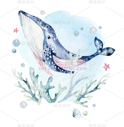 一组海洋动物。蓝色水彩海洋鱼，海龟，鲸鱼和珊瑚。壳牌水族馆背景。航海手绘插图。