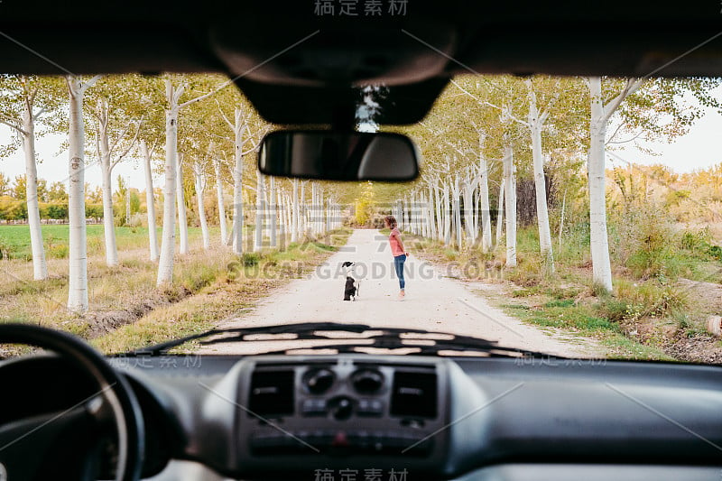 年轻的女人和她的边境牧羊犬走在一个树木小径。从车里看。旅行和宠物概念