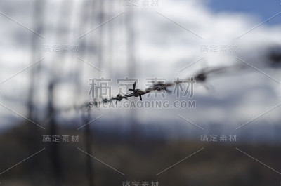 铁丝网上的倒钩
