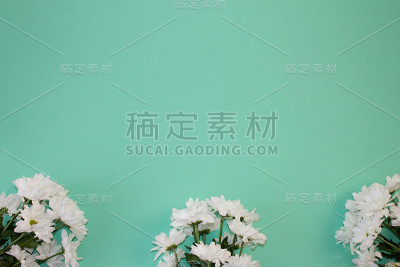 贺卡用菊花，模板，复制空间上的彩色背景