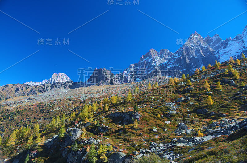 高山上的风景