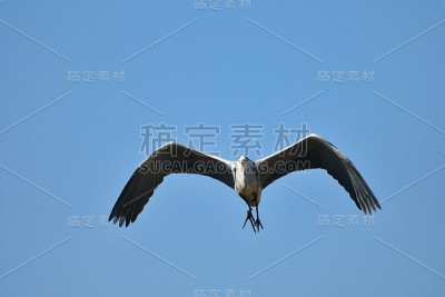 《山楂之旅》