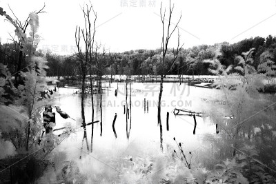 红外常青湖