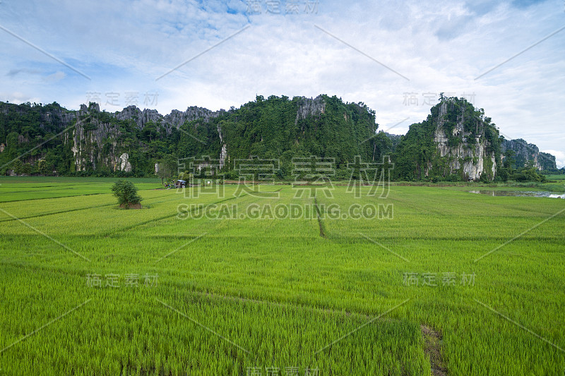 稻田和石灰岩山景