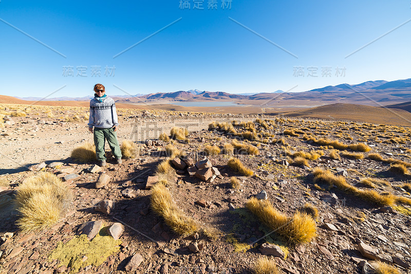 旅游广阔的安第斯高原，玻利维亚南部