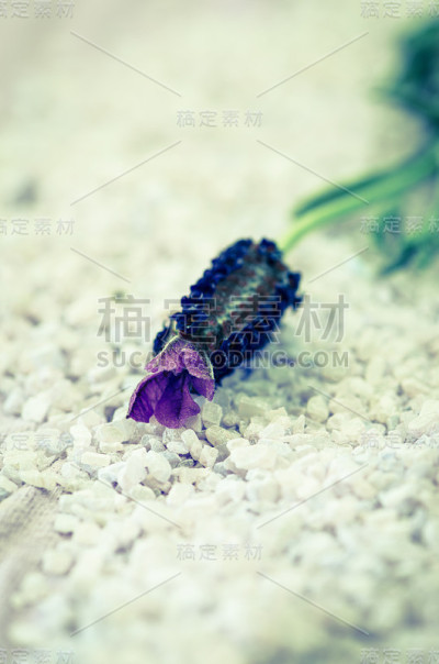 海盐和薰衣草花