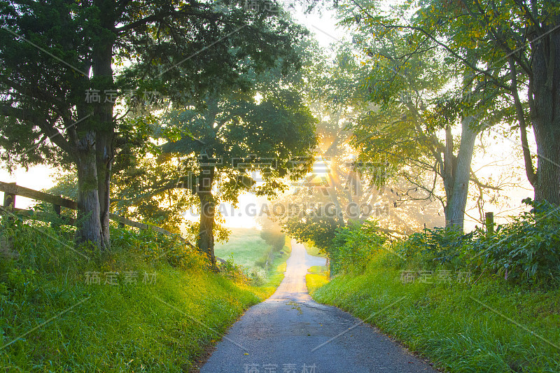 肯塔基州Sunrise-Richmond的乡村公路