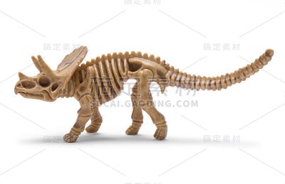恐龙骨架侧视图