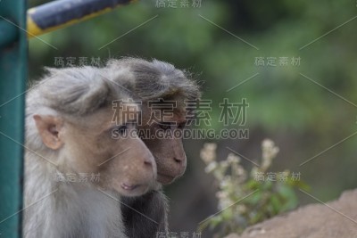 胡闹