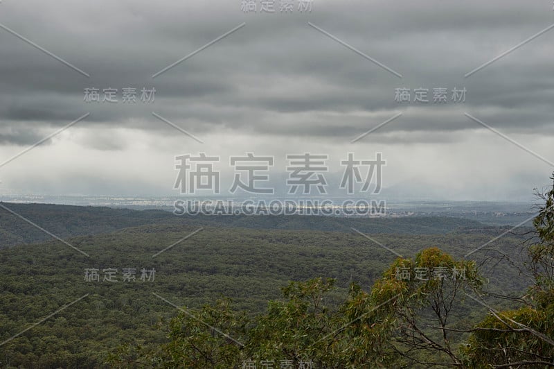 澳大利亚新南威尔士州蓝山卡佩提的雨天