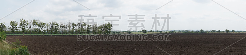 全景栽培面积