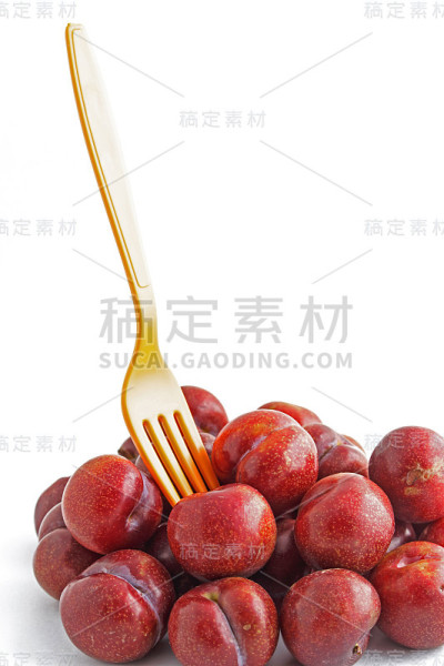 白底红梅