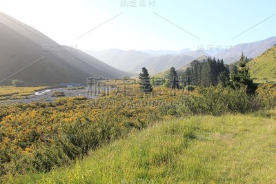 美丽的新西兰风景