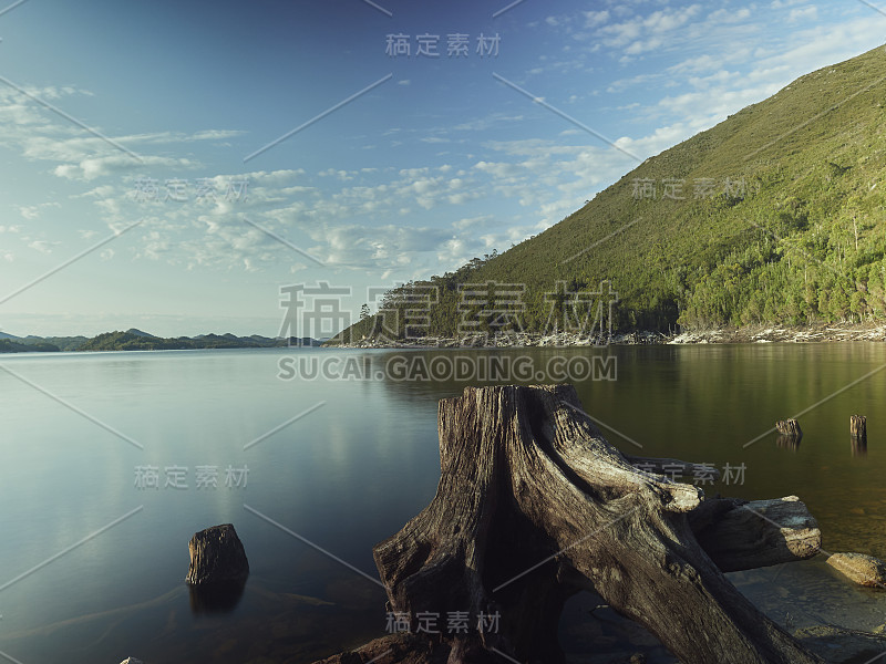 长期暴露的观点，湖与老树根在前景