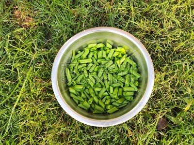 青刀豆在绿草背景钢碗上。