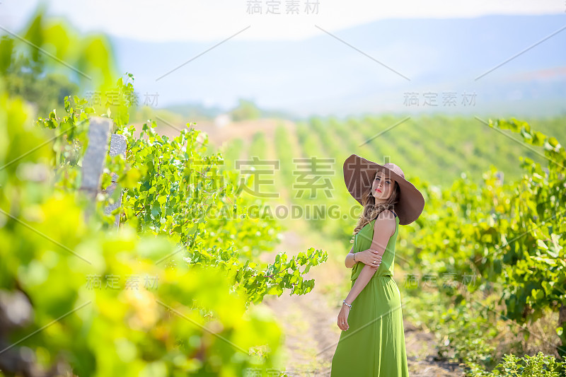 种植葡萄的妇女，头上戴着一顶在葡萄藤中间的帽子