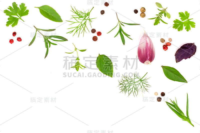 白色背景上分离出新鲜香料和香草。莳萝，欧芹，罗勒，百里香，塔顿，胡椒，大蒜。俯视图