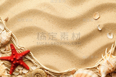 海洋生物组成