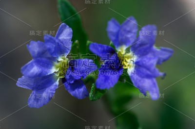 转储是