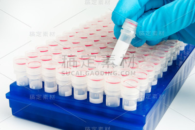 试管