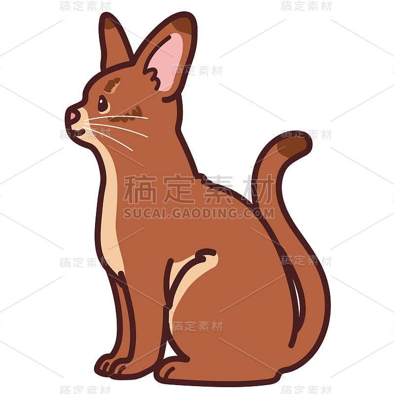 简单可爱的插画阿比西尼亚猫坐在侧面概述