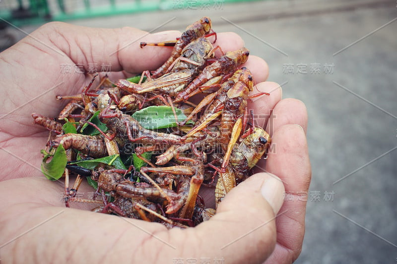 手上的油炸昆虫