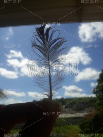 遗憾