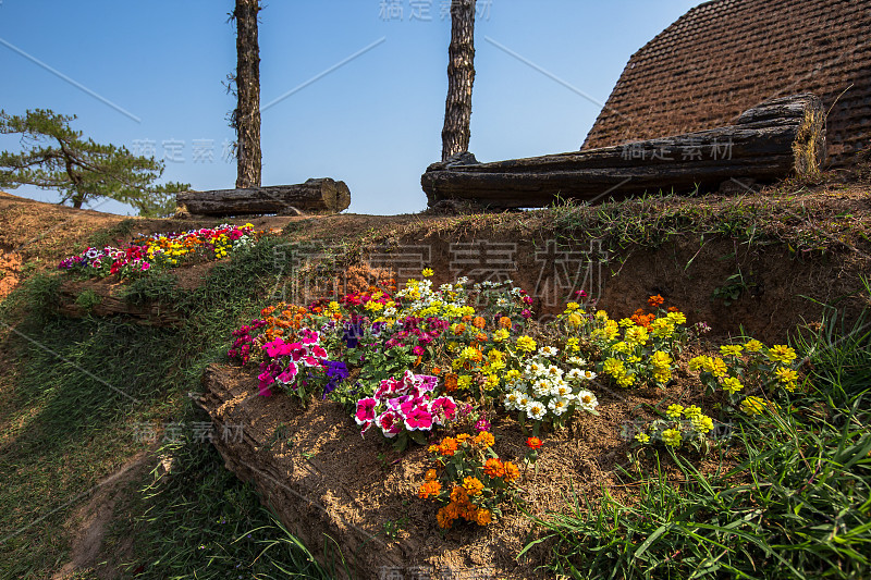 采购产品正式的花园，前院或后院，观赏花园，花坛，花