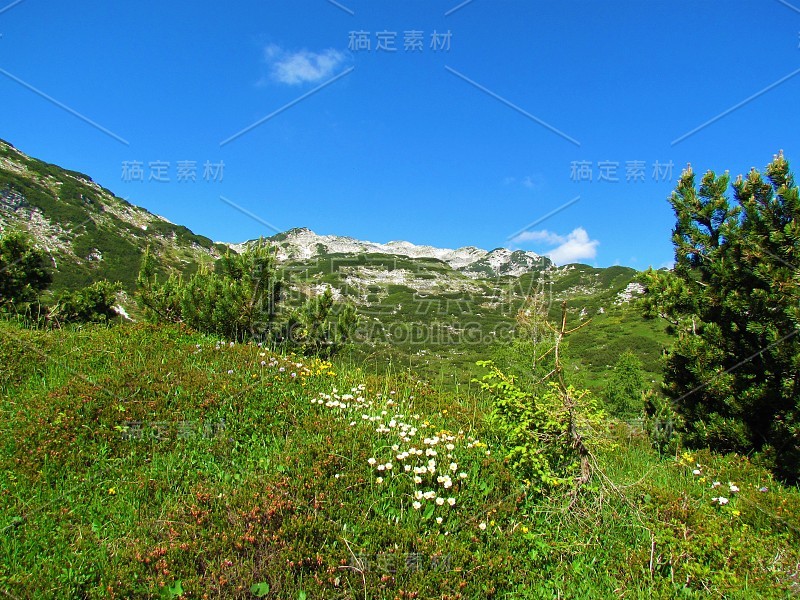 观高山景观