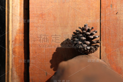 松果
