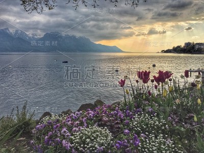 日内瓦湖边风景