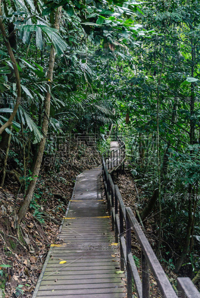风景