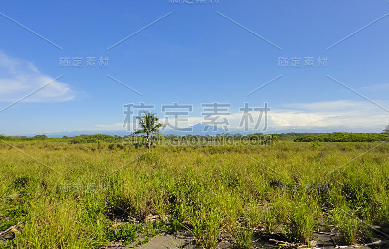 巴拿马大卫镇和巴鲁火山附近的Barqueta海滩。太平洋海岸。中美洲