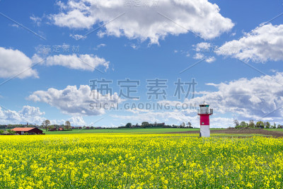 灯塔和一片油菜地在瑞典南部，Ven岛