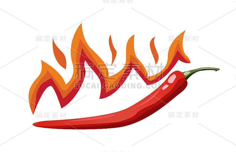 Hot chili pepper vector