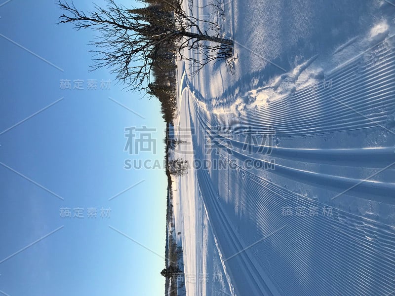 瑞典山区滑雪道，2018_7