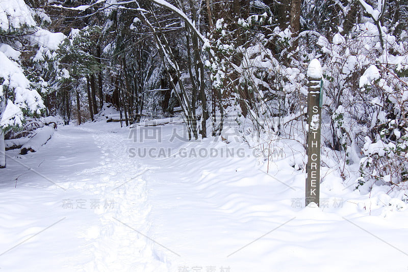 温哥华斯坦利公园被雪覆盖的南溪小径