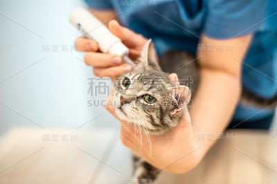 一位女兽医用滴耳剂治疗一只猫