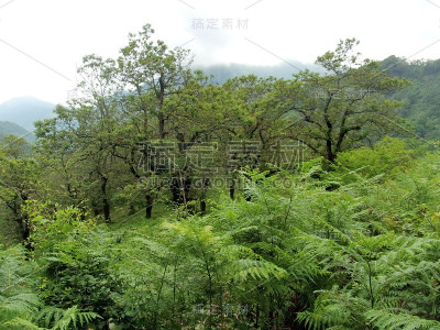 山地景观