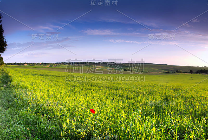 复古复古效果过滤嬉皮风格形象的戏剧性su