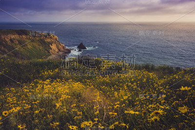 Rancho Palos Verdes超级布鲁姆