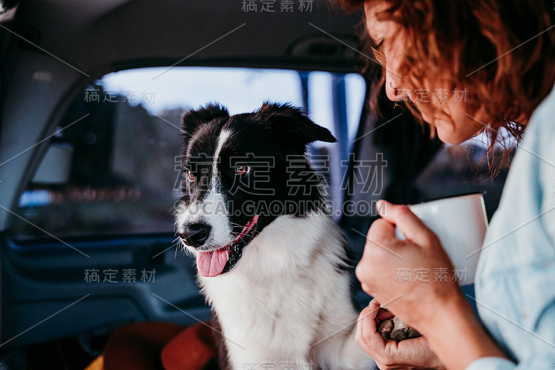 一个女人和一只边境牧羊犬在一辆面包车里。旅游的概念