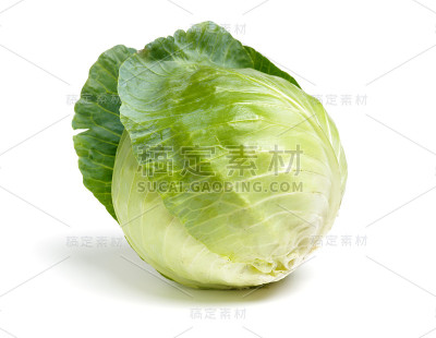 卷心菜