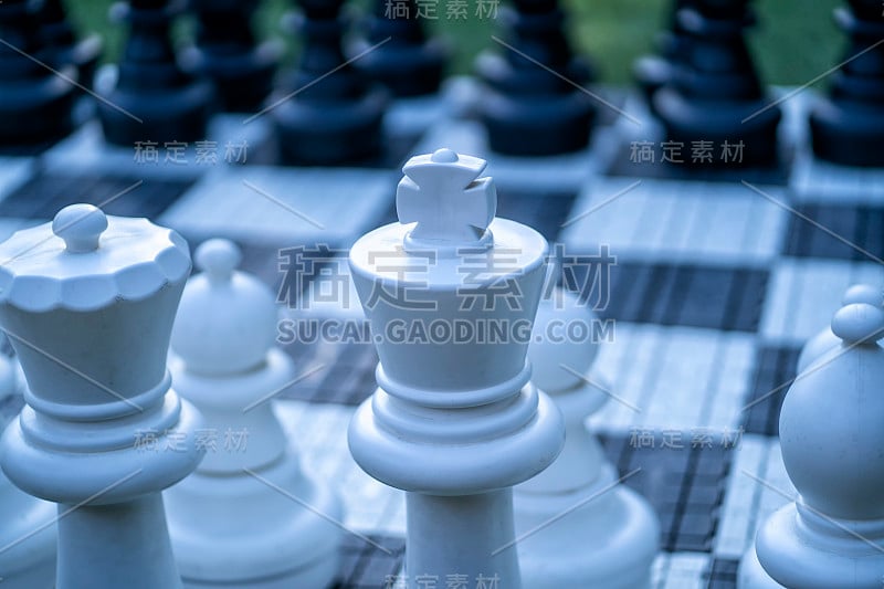 草坪上放着大型花园象棋