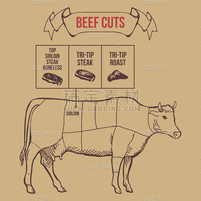 牛肉方案矢量的经典屠夫切割