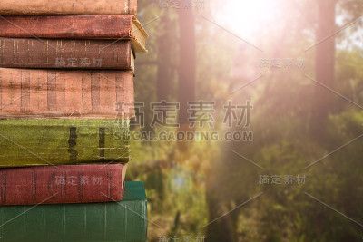 在自然背景上堆积的书籍
